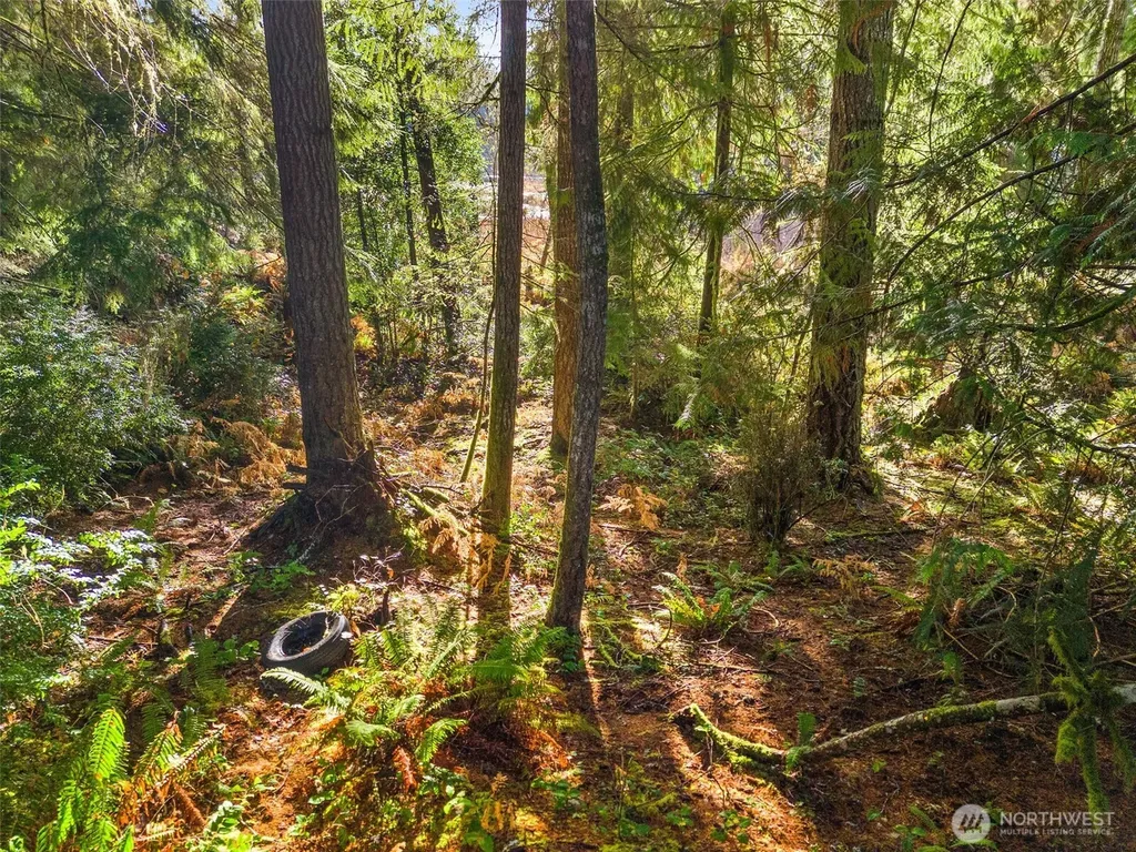 30 E Tahuya Drive Shelton WA 98584
