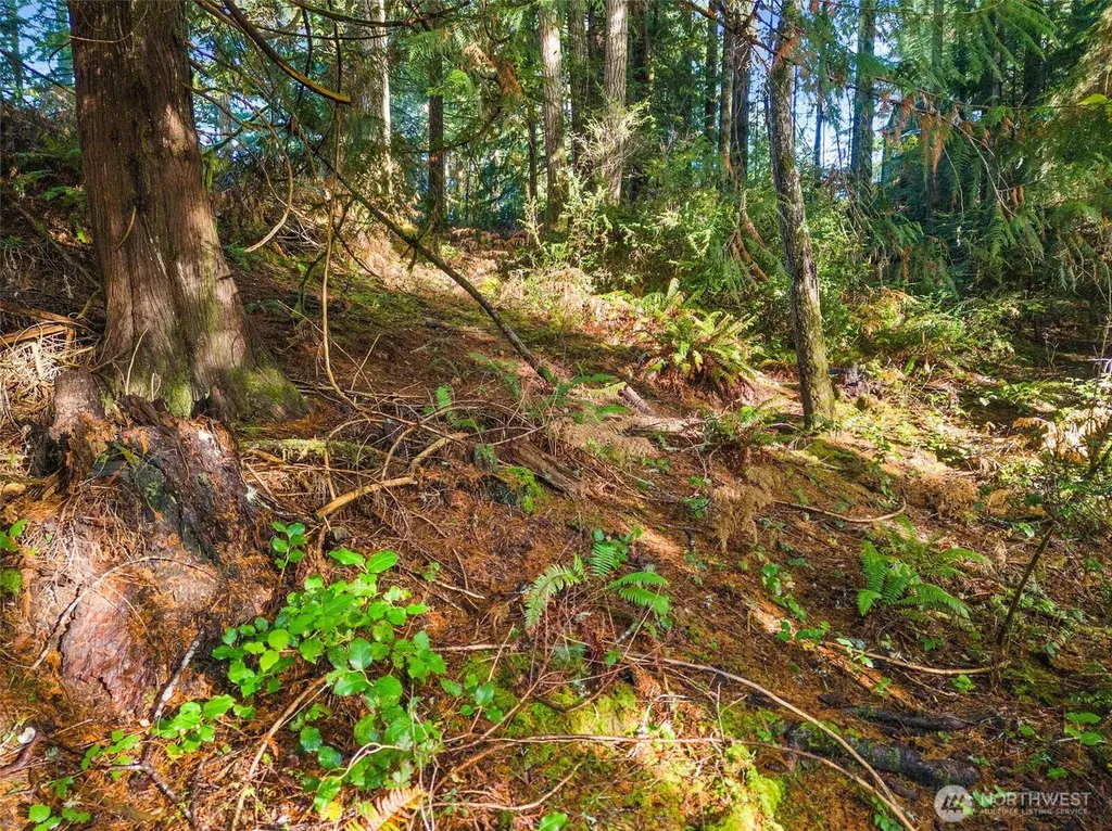 30 E Tahuya Drive Shelton WA 98584