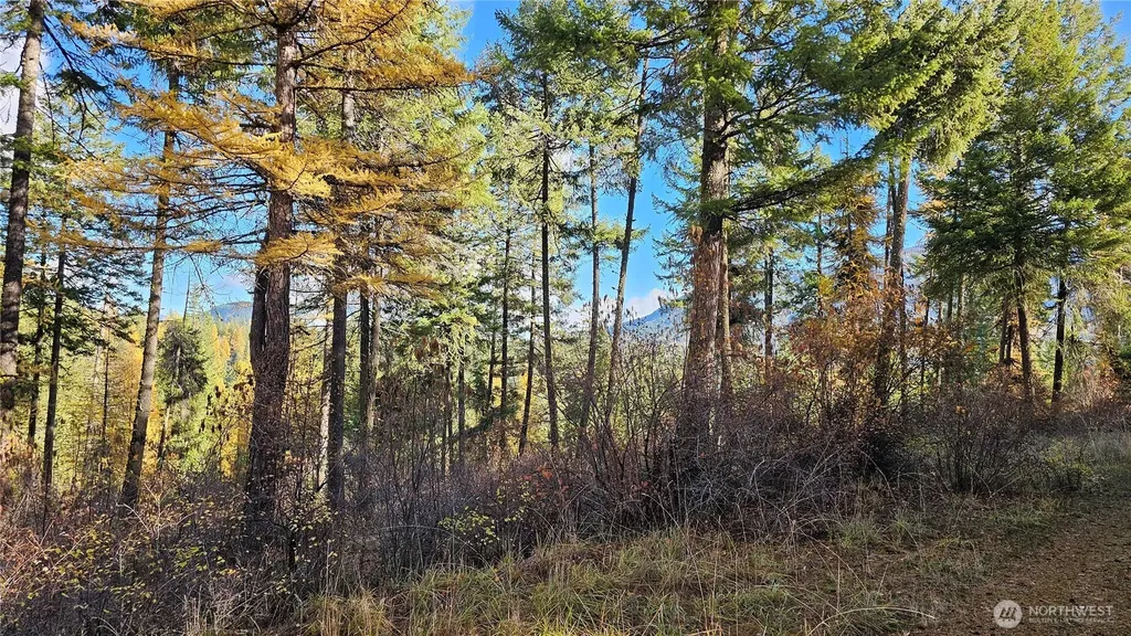 700 Dry Gulch Road Colville WA 99114
