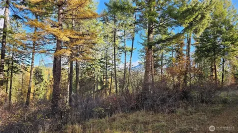 700 Dry Gulch Road Colville WA 99114
