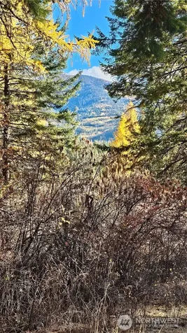 700 Dry Gulch Road Colville WA 99114