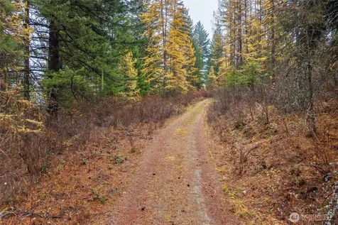 700 Dry Gulch Road Colville WA 99114