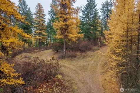 700 Dry Gulch Road Colville WA 99114