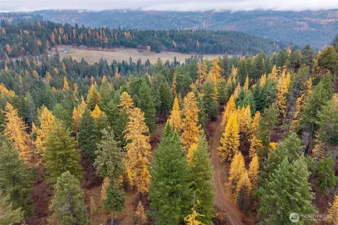700 Dry Gulch Road Colville WA 99114
