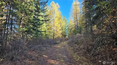 700 Dry Gulch Road Colville WA 99114