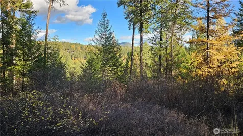 700 Dry Gulch Road Colville WA 99114
