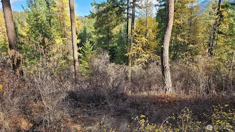 700 Dry Gulch Road Colville WA 99114