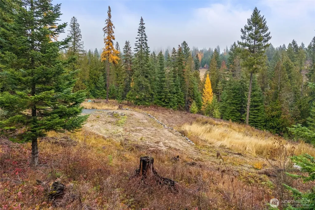 717 Finley Gulch Road Colville WA 99114