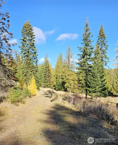 717 Finley Gulch Road Colville WA 99114