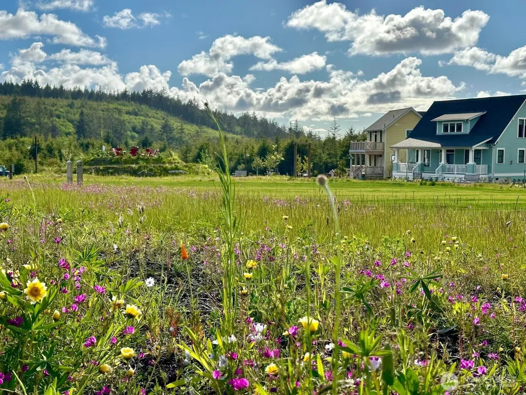 22 Bungalow Loop Pacific Beach WA 98571