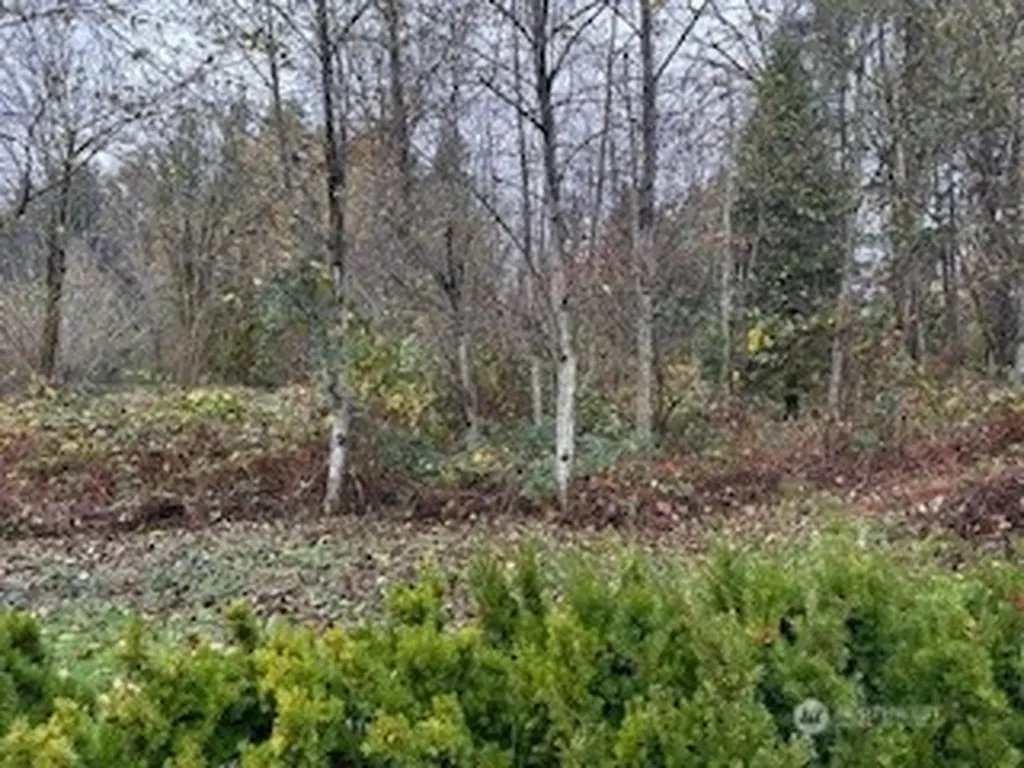 0 208th Place NE Woodinville WA 98077