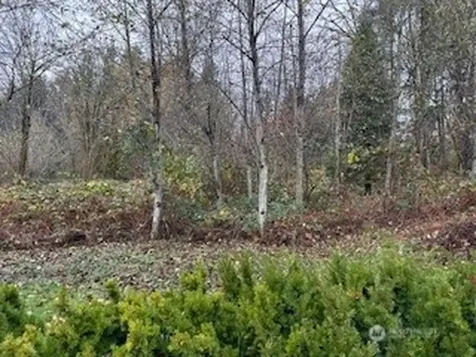 0 208th Place NE Woodinville WA 98077