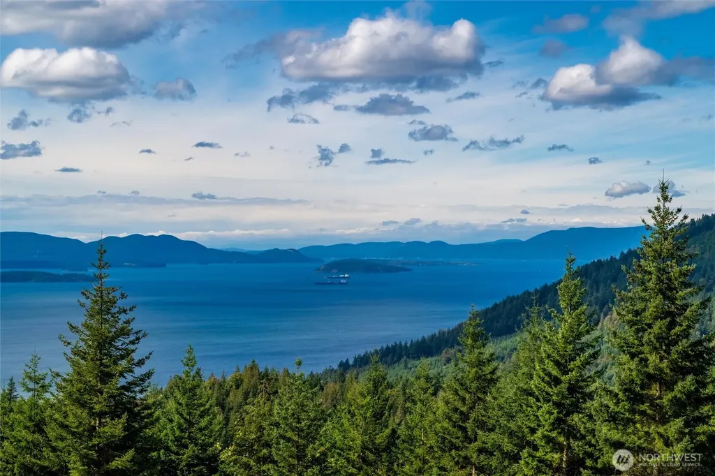 3100 Blanchard Knob Trail Bow WA 98232
