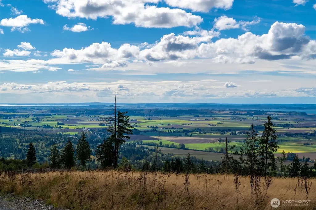3100 Blanchard Knob Trail Bow WA 98232