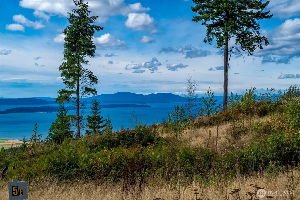 3100 Blanchard Knob Trail Bow WA 98232