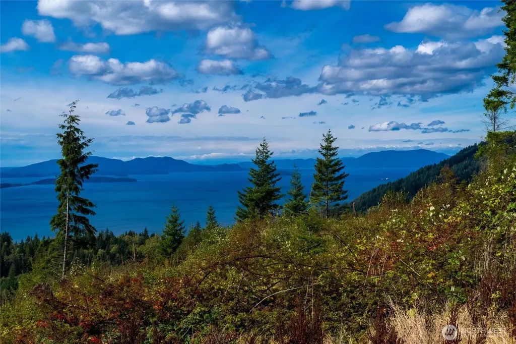 3100 Blanchard Knob Trail Bow WA 98232