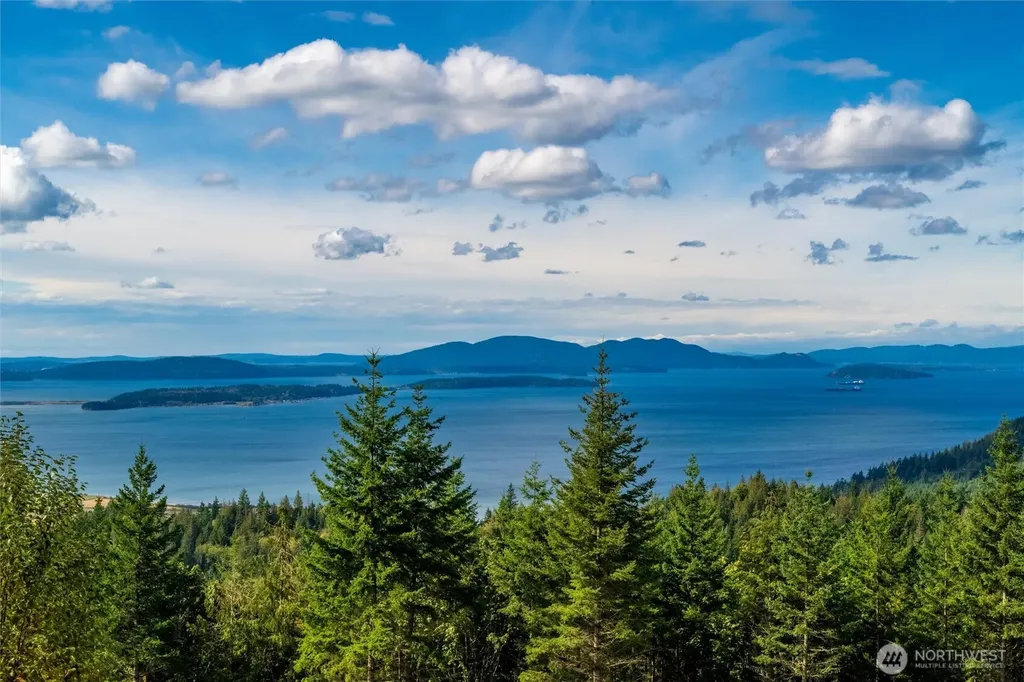3120 Blanchard Knob Trail Bow WA 98232