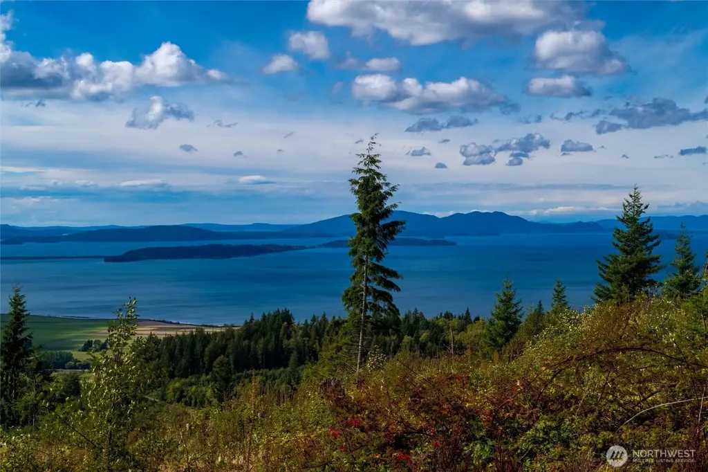 3120 Blanchard Knob Trail Bow WA 98232