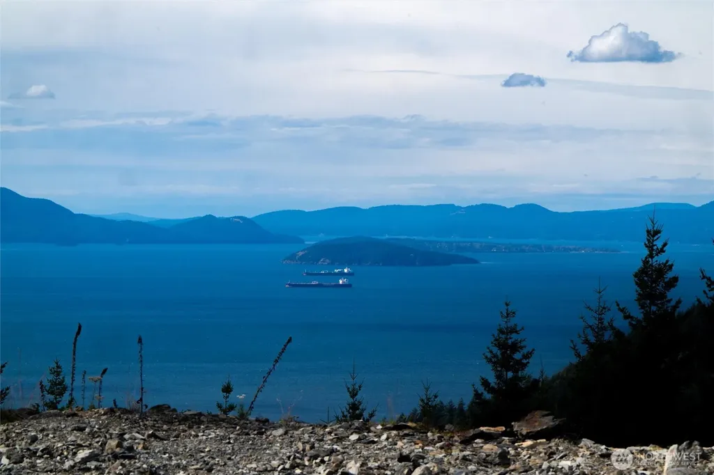3120 Blanchard Knob Trail Bow WA 98232