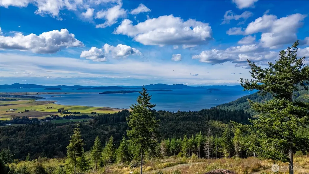 3120 Blanchard Knob Trail Bow WA 98232
