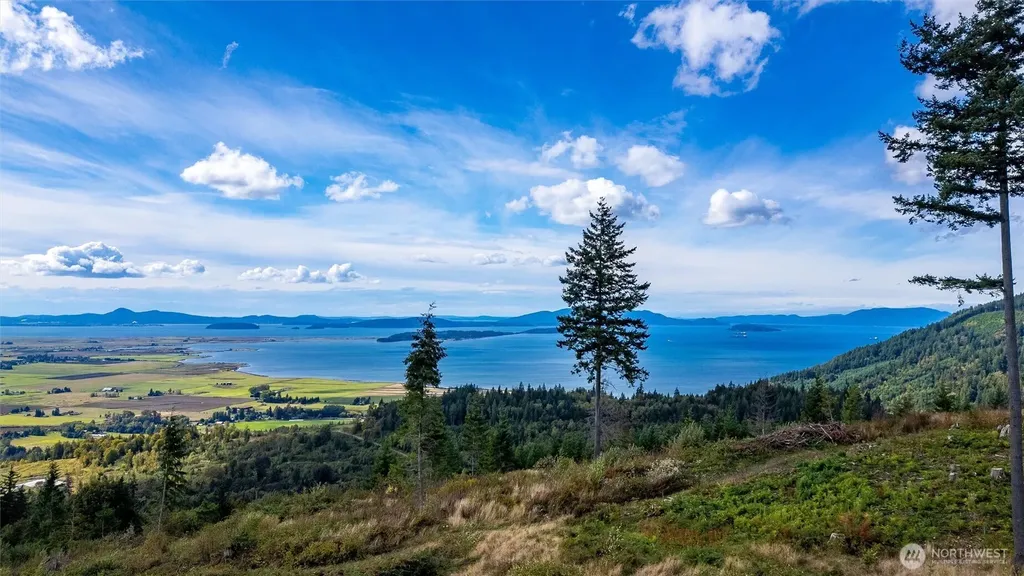 3120 Blanchard Knob Trail Bow WA 98232