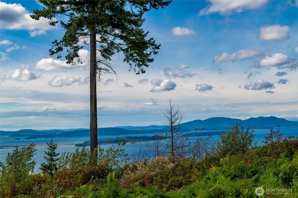 3140 Blanchard Knob Trail Bow WA 98232