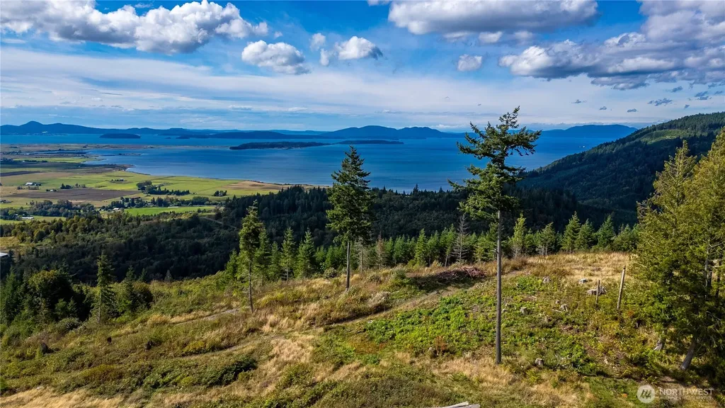 3140 Blanchard Knob Trail Bow WA 98232