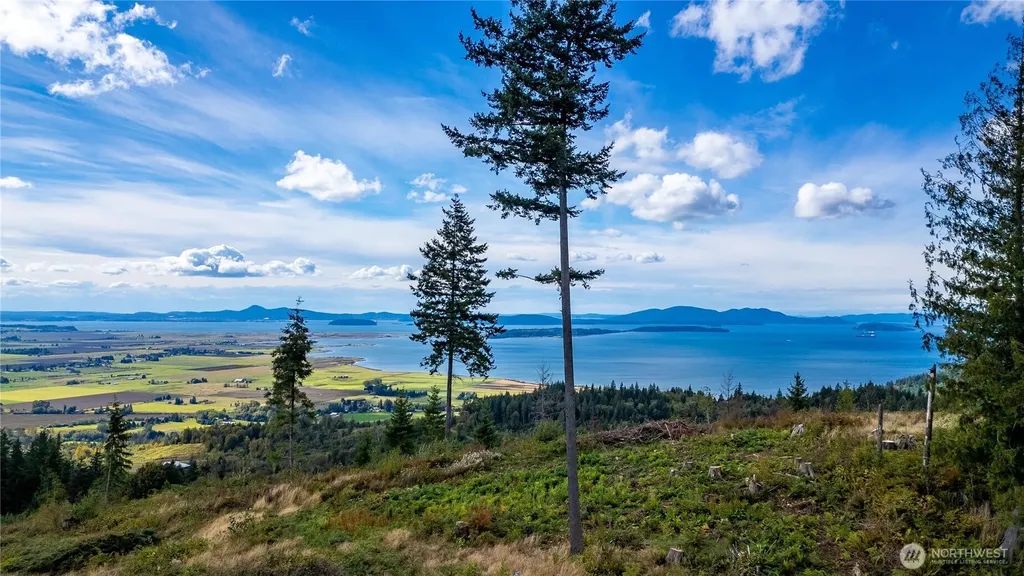 3140 Blanchard Knob Trail Bow WA 98232