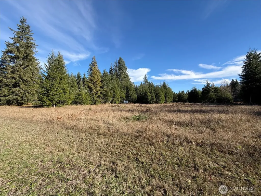 138 Shelton Road Randle WA 98377