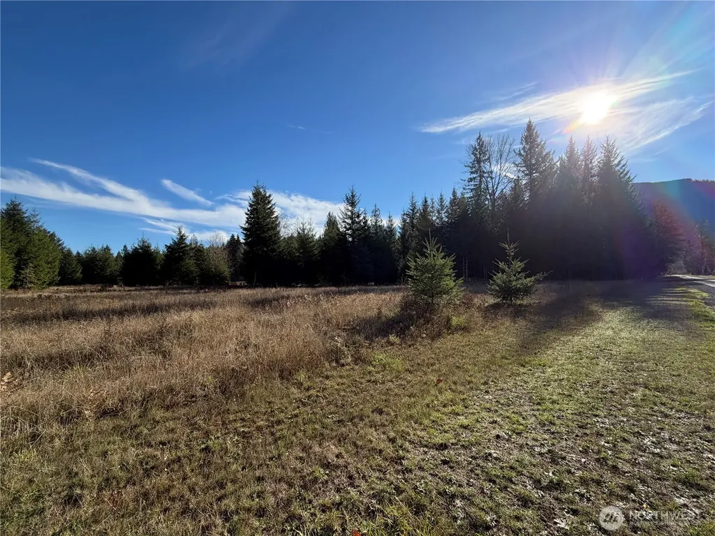 138 Shelton Road Randle WA 98377