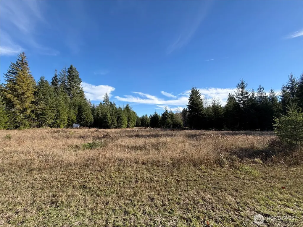 138 Shelton Road Randle WA 98377