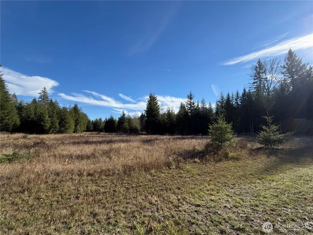 138 Shelton Road Randle WA 98377