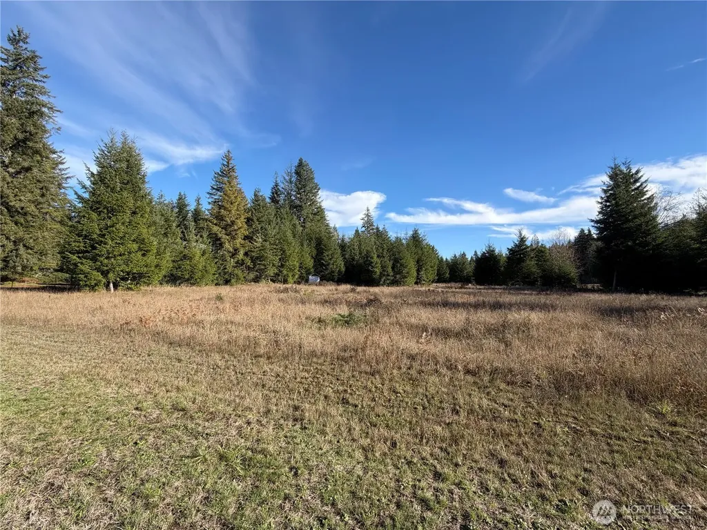 138 Shelton Road Randle WA 98377