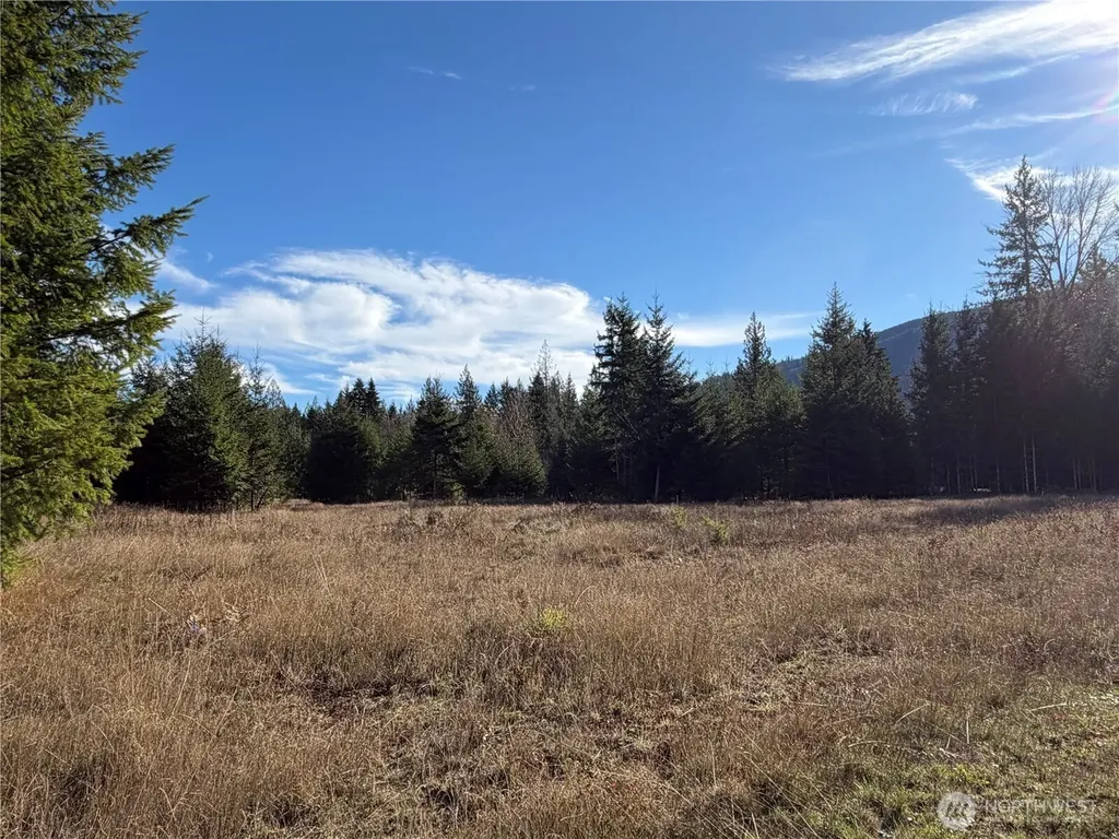 138 Shelton Road Randle WA 98377