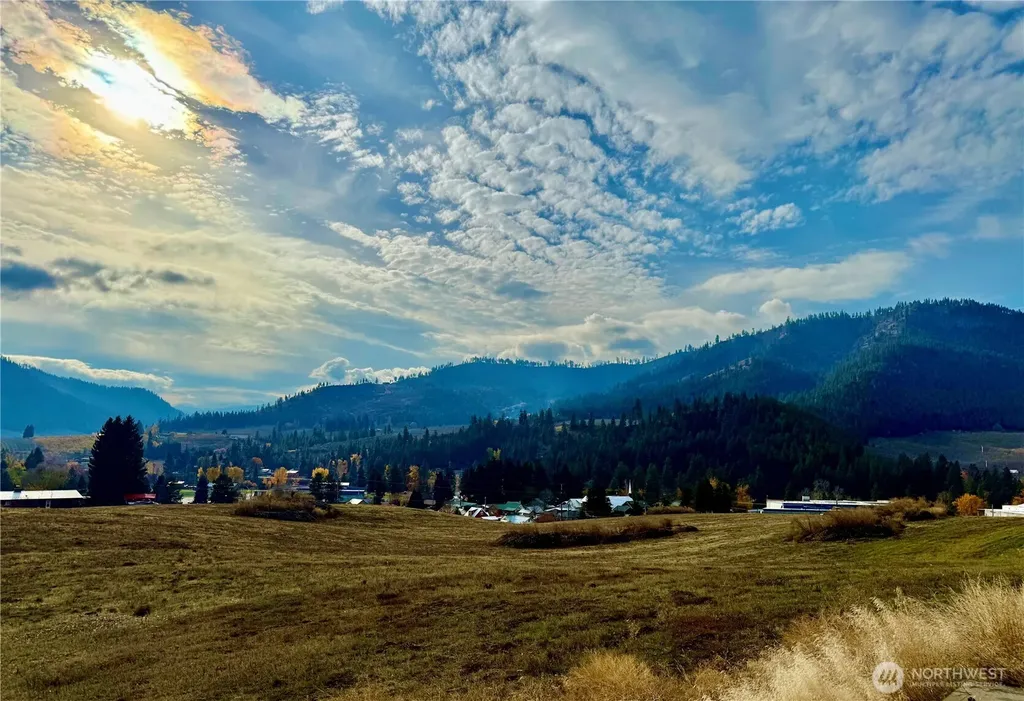 8480 Larson Road Peshastin WA 98847