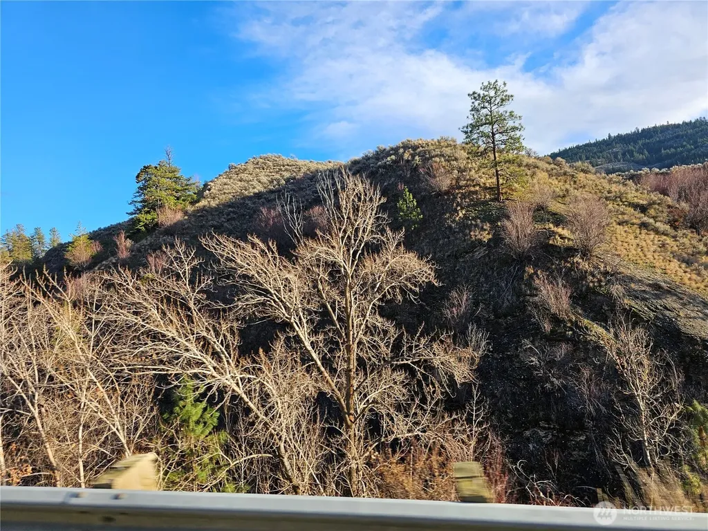 38 Pine Grove Road Oroville WA 98844