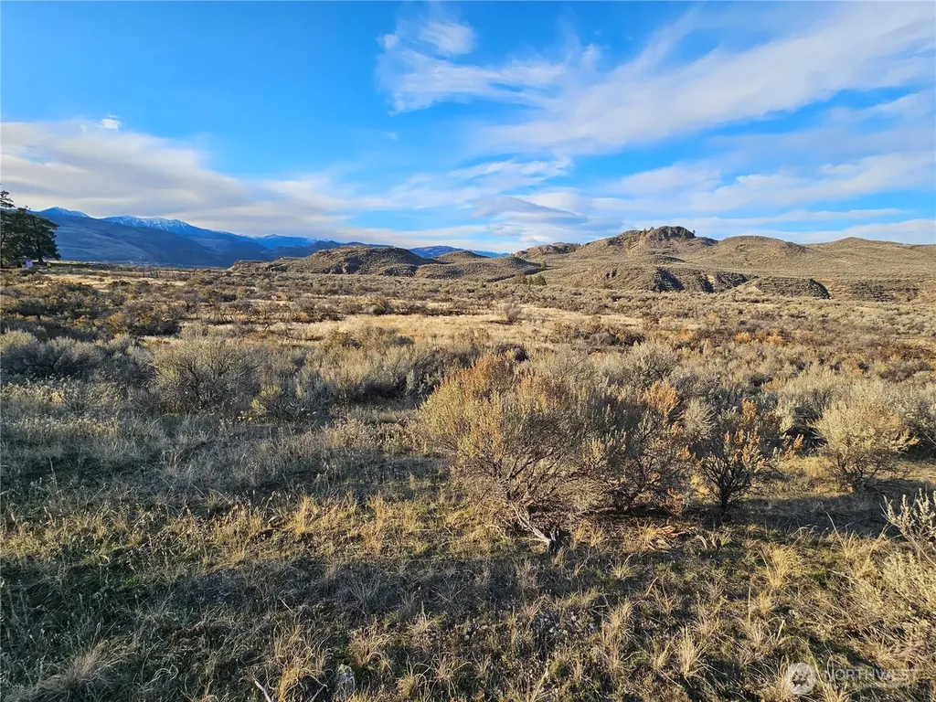 38 Pine Grove Road Oroville WA 98844