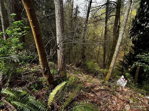 0 Adjacent To Baldwin Road Bothell WA 98012