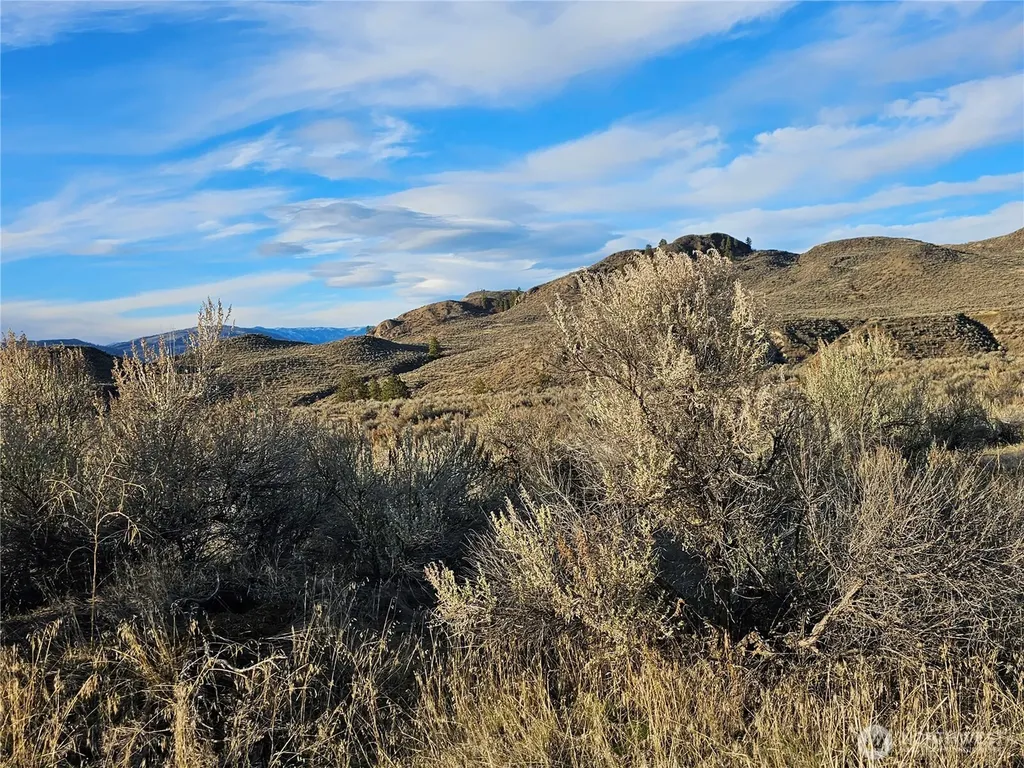 6 Pine Grove Road Oroville WA 98844