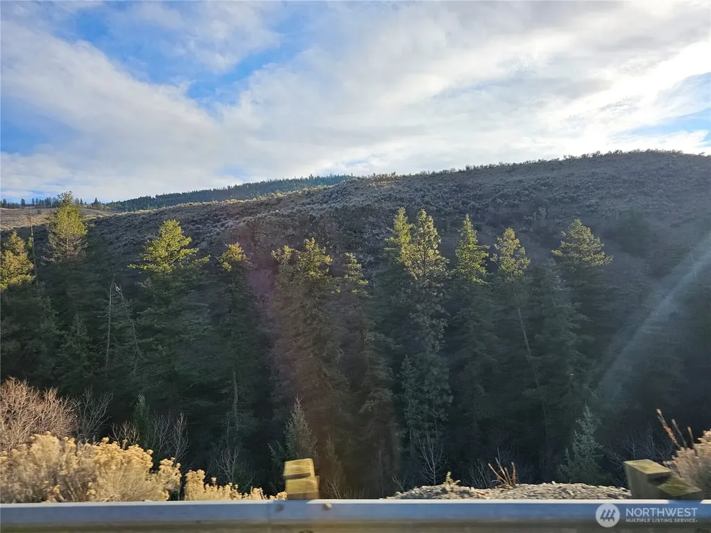 6 Pine Grove Road Oroville WA 98844