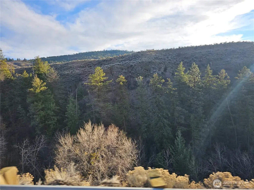 6 Pine Grove Road Oroville WA 98844