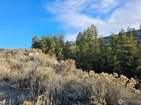 6 Pine Grove Road Oroville WA 98844