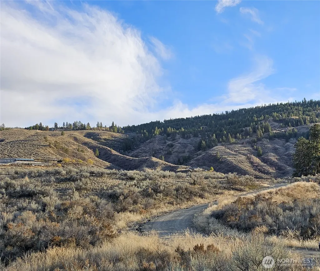 38 Pine Grove Road Oroville WA 98844