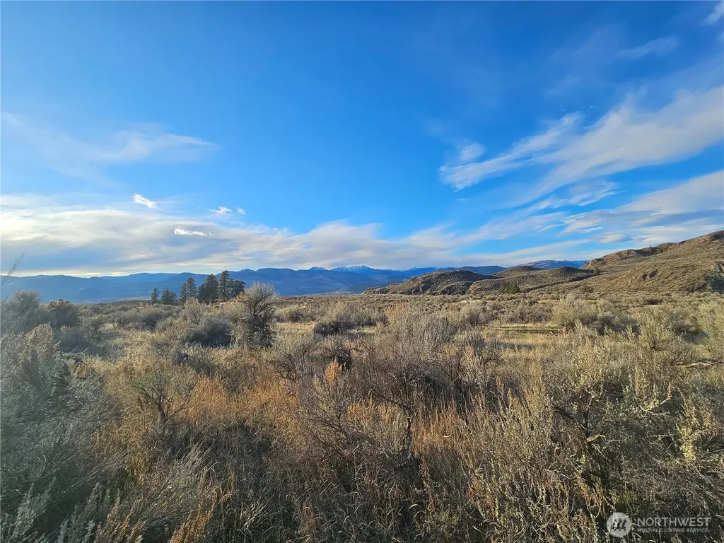 38 Pine Grove Road Oroville WA 98844