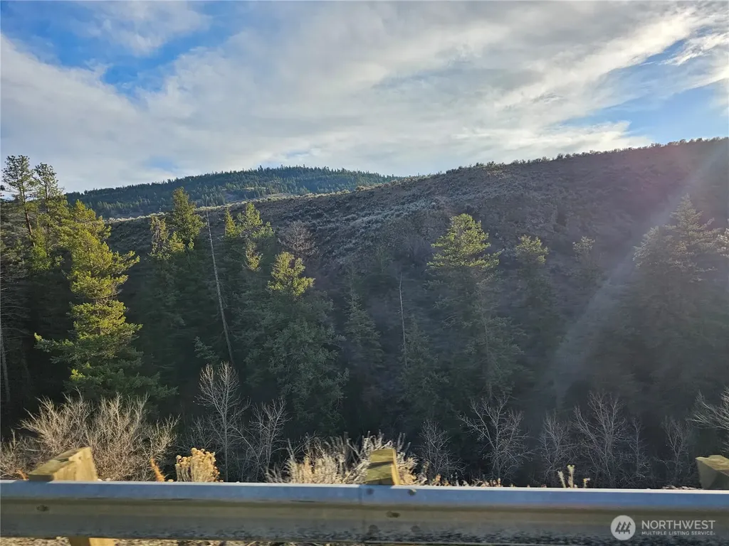 38 Pine Grove Road Oroville WA 98844