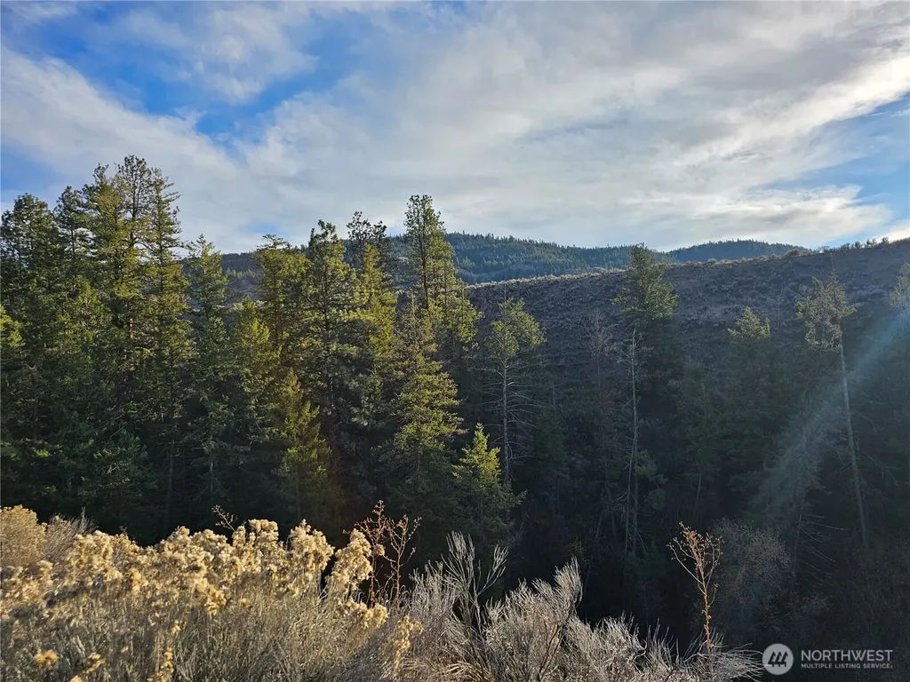 38 Pine Grove Road Oroville WA 98844
