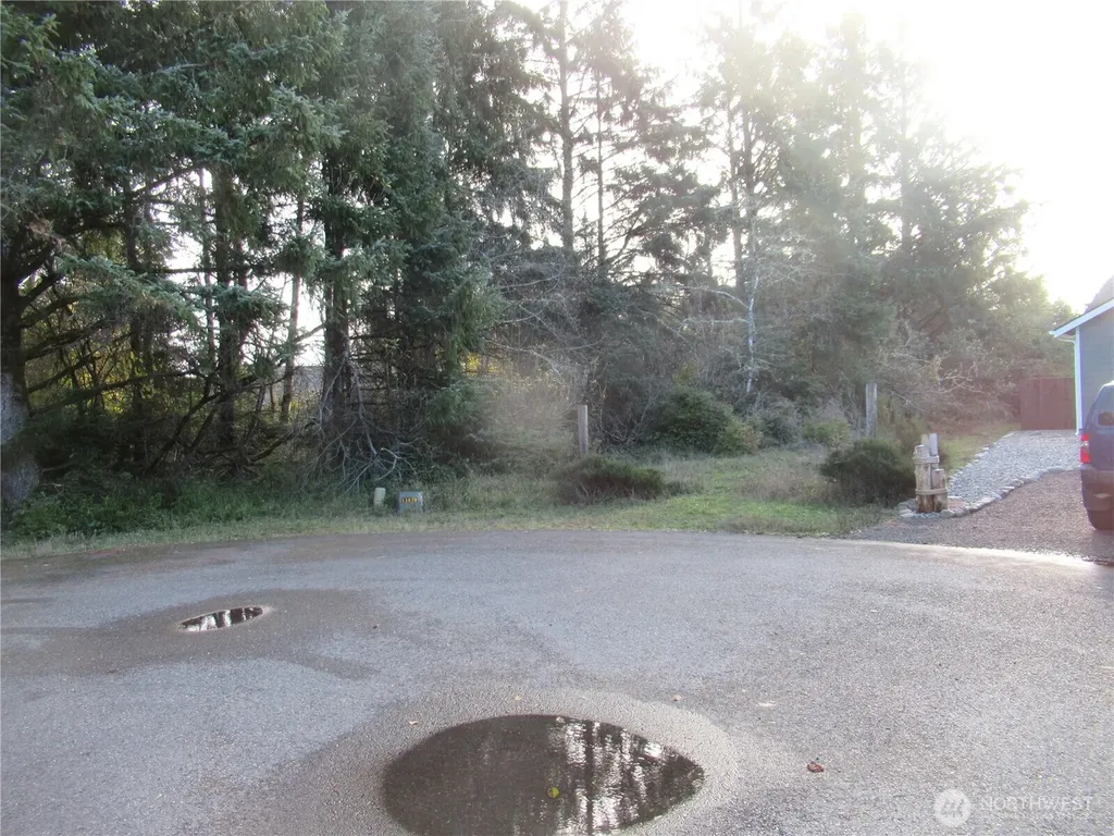 311 Sycamore Court Ocean Shores WA 98569