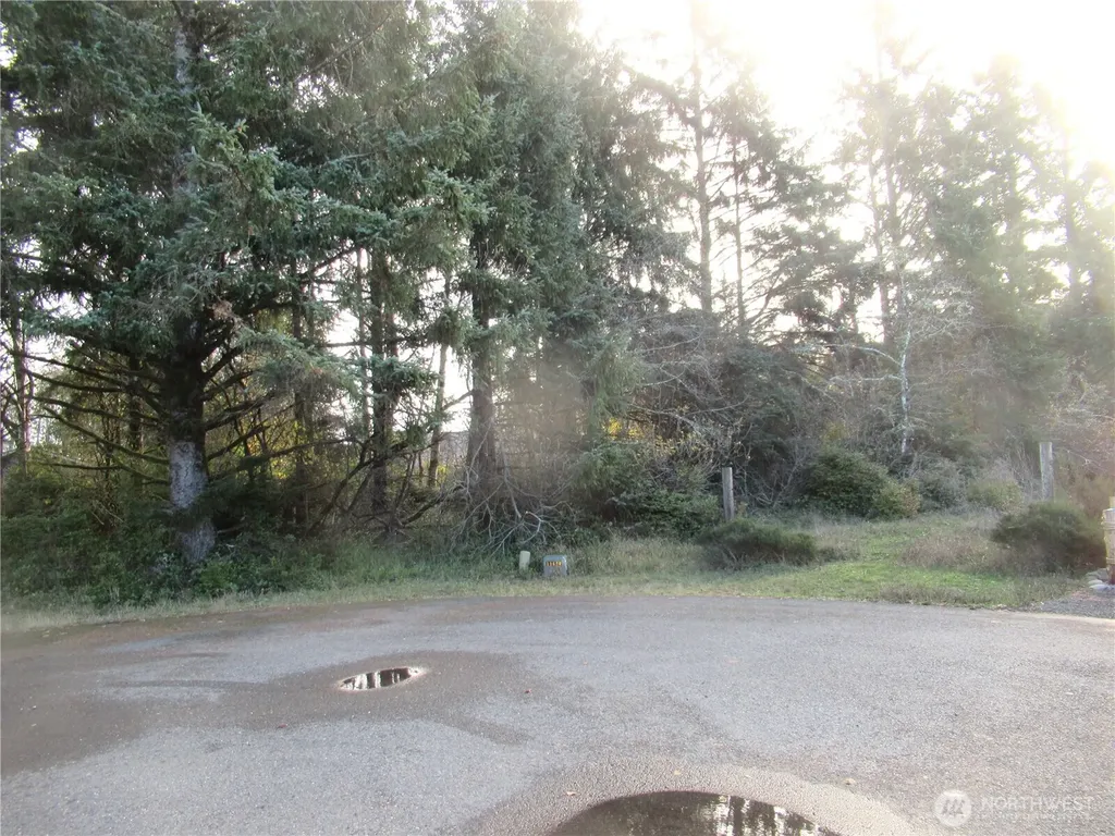 311 Sycamore Court Ocean Shores WA 98569