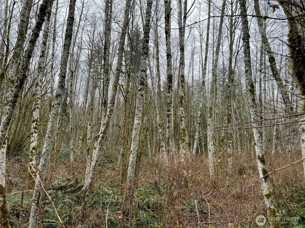 2 Scenic Drive Poulsbo WA 98370