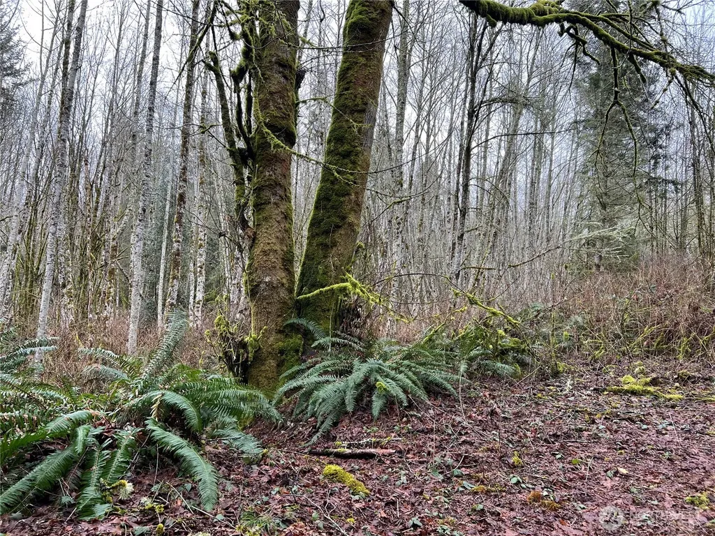 2 Scenic Drive Poulsbo WA 98370
